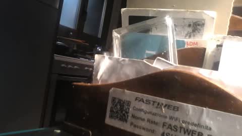 predator19491 online show from 11, 4, 2026