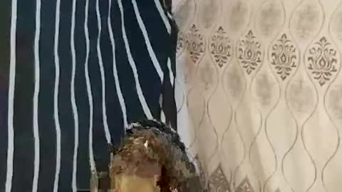 pretty705007 online show from 21, 3, 2026