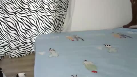 Pretty doll online show from 10, 11, 2025