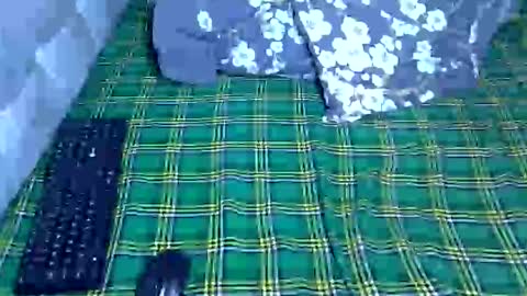 Snapshot of prettyelsie chatting on 28, 4, 2026 Prettiesexxy online show from 28, 4, 2026