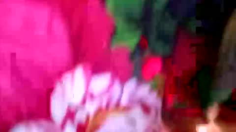 prettyrose01 online show from 21, 4, 2026