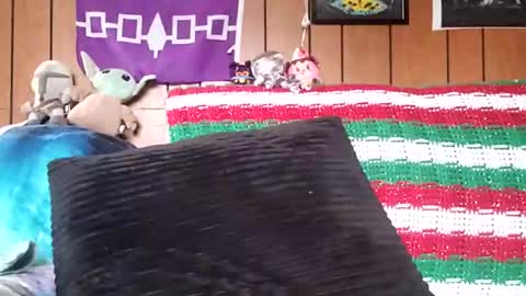 prettysolidd7 online show from 4, 1, 2025