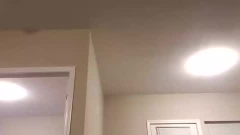 prettysolidd7 online show from 7, 1, 2025