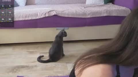 Kitty online show from 24, 6, 2026