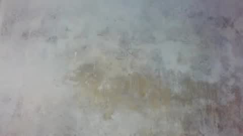 Snapshot of prince_edi chatting on 25, 5, 2026 Prince edi online show from 25, 5, 2026