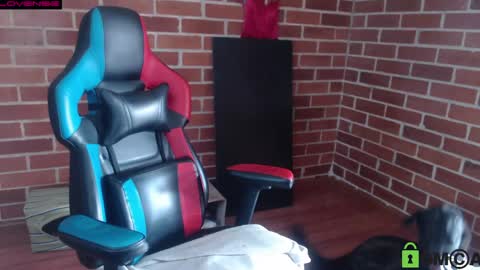 Leia online show from 12, 4, 2026