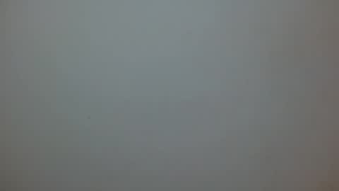 princess1609 online show from 4, 3, 2026