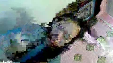  My Love online show from 9, 3, 2025