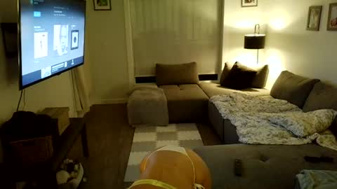 jasminexoxo online show from 2, 7, 2026