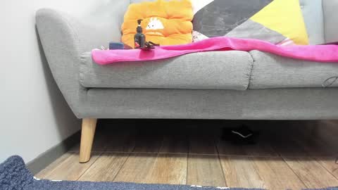 PrittiDitti online show from 22, 1, 2025