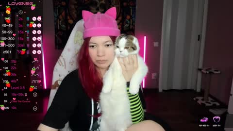 Di online show from 12, 1, 2025