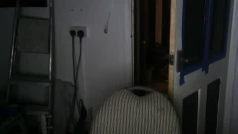 projectorepson online show from 19, 1, 2025