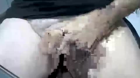 psfunman online show from 16, 2, 2025