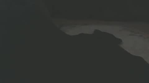 public_train online show from 15, 4, 2026