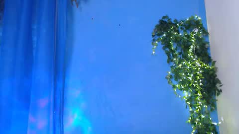 EsteticHouse online show from 10, 3, 2026