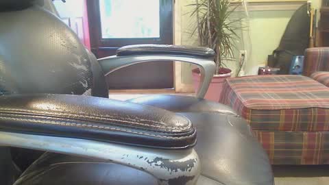 pulltoy1 online show from 4, 12, 2024