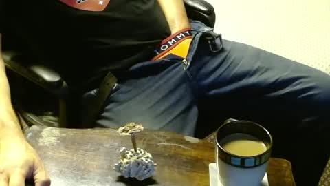 Snapshot of punkypapi chatting on 12, 10, 2025 Jojo online show from 12, 10, 2025