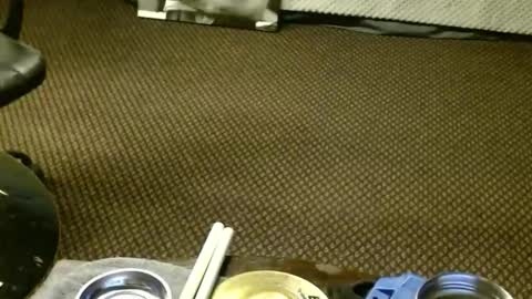 Snapshot of punkypapi chatting on 23, 11, 2025 Jojo online show from 23, 11, 2025