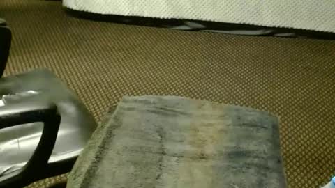 Snapshot of punkypapi chatting on 25, 11, 2025 Jojo online show from 25, 11, 2025