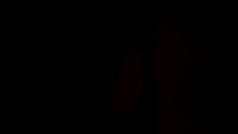 Pup Cup69 online show from 17, 12, 2025