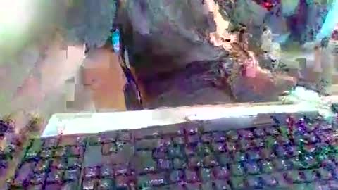 pup_y online show from 20, 9, 2025