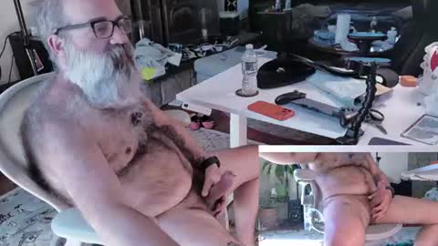 Pup And Papa bear online show from 24, 6, 2026