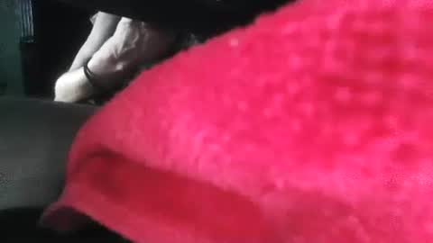 Puppah626  Phoenyx 39s Room online show from 1, 1, 2025