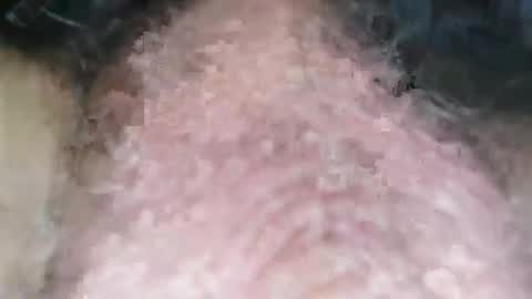 Puppah626  Phoenyx 39s Room online show from 1, 1, 2025