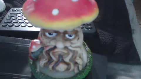 Puppah626  Phoenyx 39s Room online show from 15, 1, 2025