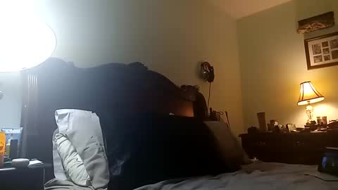 Puppah626  Phoenyx 39s Room online show from 11, 3, 2025
