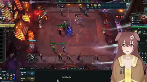 Inuyama Wanko online show from 21, 12, 2024