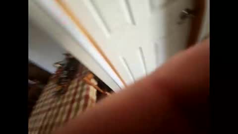 purdyguy7777 online show from 5, 2, 2025