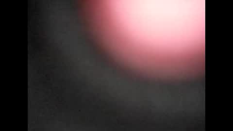 Bart online show from 11, 1, 2026