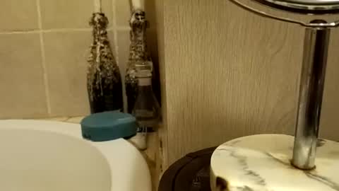 purecharismacpl online show from 20, 2, 2026