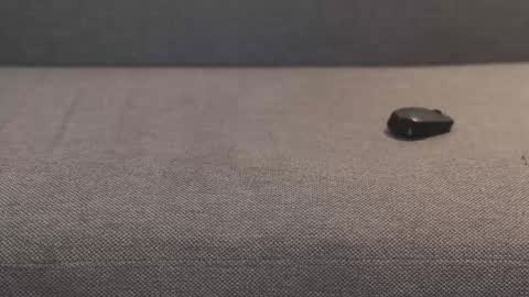 Snapshot of pussy_laboratory chatting on 3, 3, 2026 pussy_laboratory online show from 3, 3, 2026