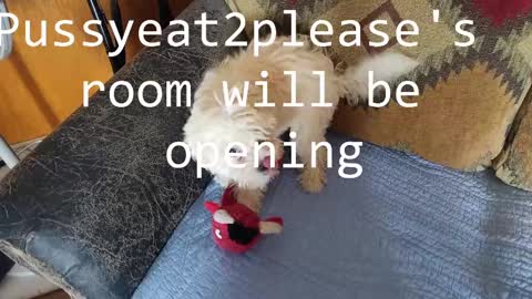 Rick online show from 11, 2, 2025