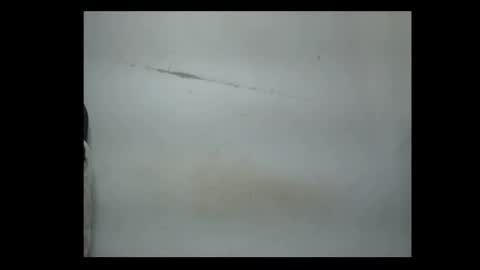 pussyxwetx online show from 4, 2, 2026