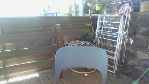 Python online show from 6, 4, 2026