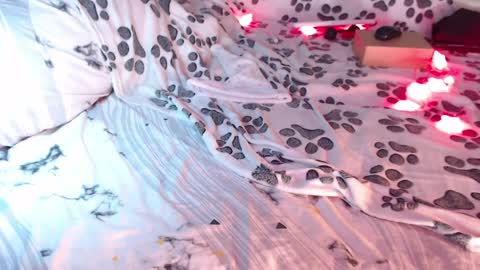 Lita  rat online show from 3, 1, 2025