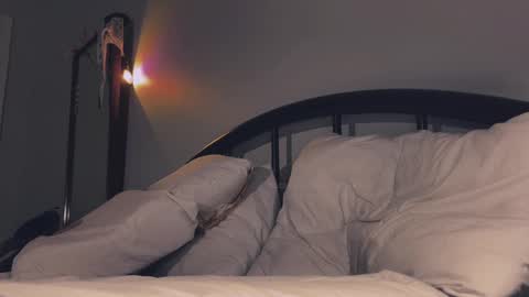    online show from 13, 12, 2024