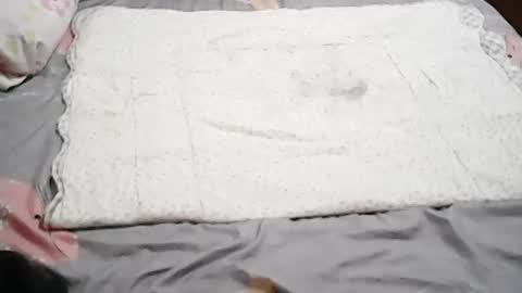 queen_ava05 online show from 1, 7, 2026