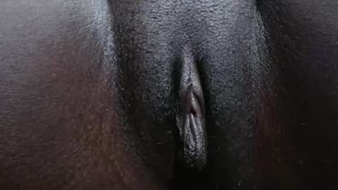 queen_bee6 online show from 26, 4, 2026