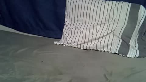 queen_polite online show from 22, 2, 2026