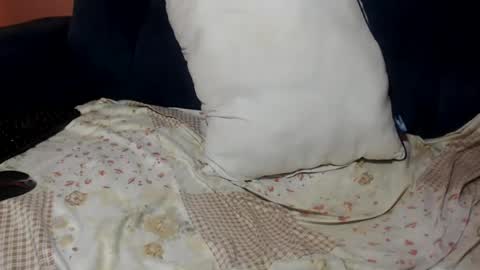 queenchloe1 online show from 20, 7, 2026