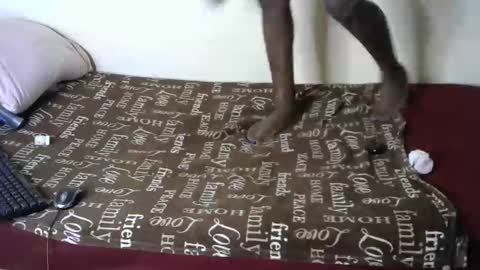 Snapshot of queenmojo_1_1 chatting on 4, 1, 2025 melly online show from 4, 1, 2025