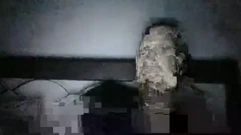 Snapshot of qwezxcqweasdzxc chatting on 23, 10, 2025 qwezxcqweasdzxc online show from 23, 10, 2025