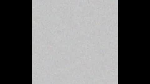 Rabbit Snake online show from 19, 11, 2025