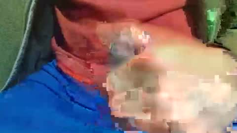 Raccoon68 online show from 1, 5, 2026