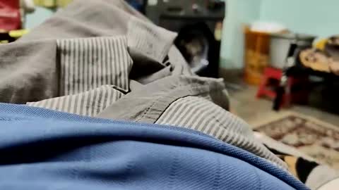 Raghav online show from 1, 12, 2025