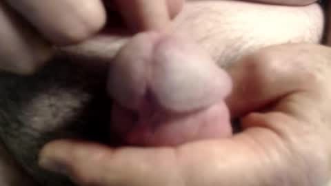 Ray online show from 6, 11, 2025